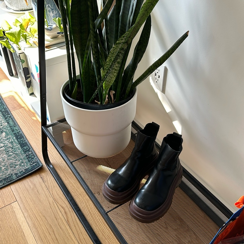 Urban Outfitters booties